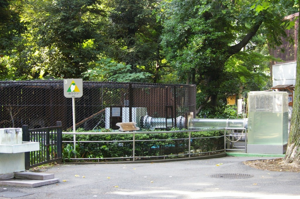 上野動物園ユーラシアカワウソ舎